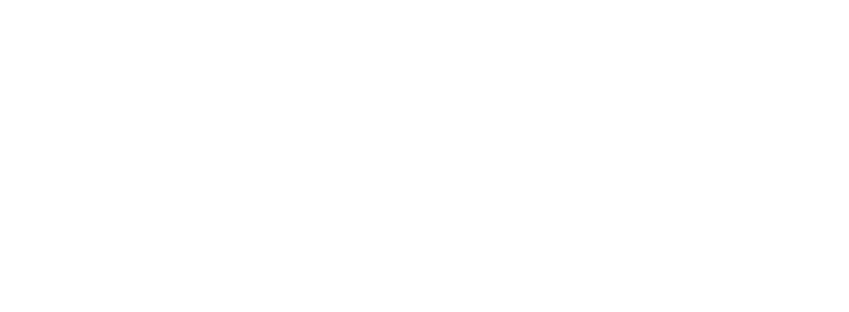 Verizon Business Logo